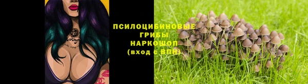 трава Абдулино